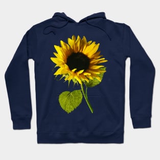 Sunflower Shadow and Light Hoodie